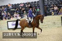22BUCK_01038 proof