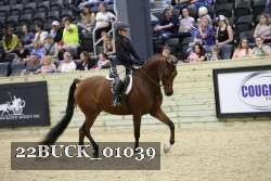 22BUCK_01039 proof
