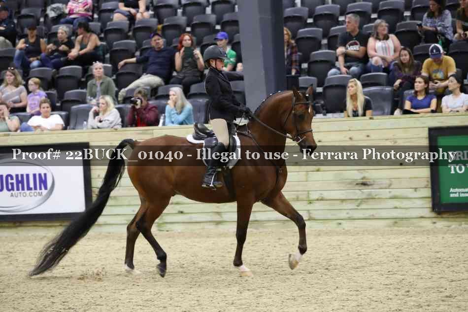 Proof 22BUCK_01040