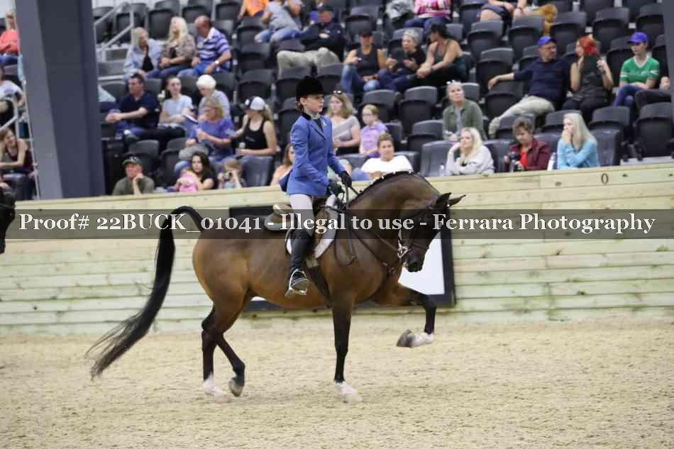 Proof 22BUCK_01041