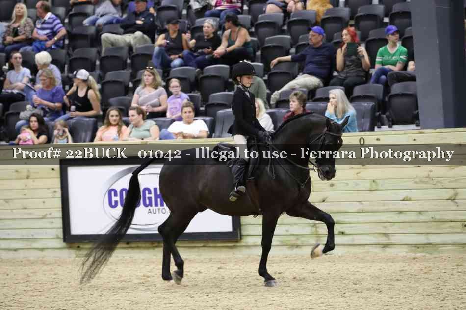 Proof 22BUCK_01042