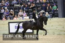22BUCK_01042 proof