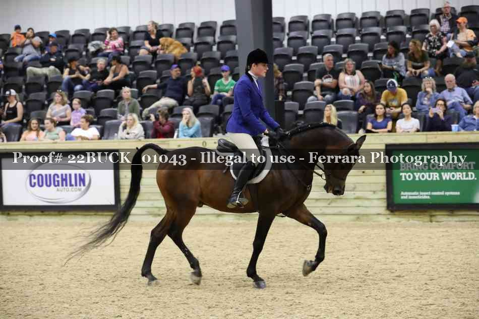 Proof 22BUCK_01043