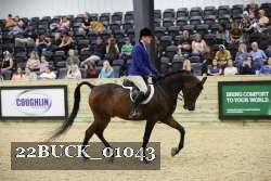22BUCK_01043 proof