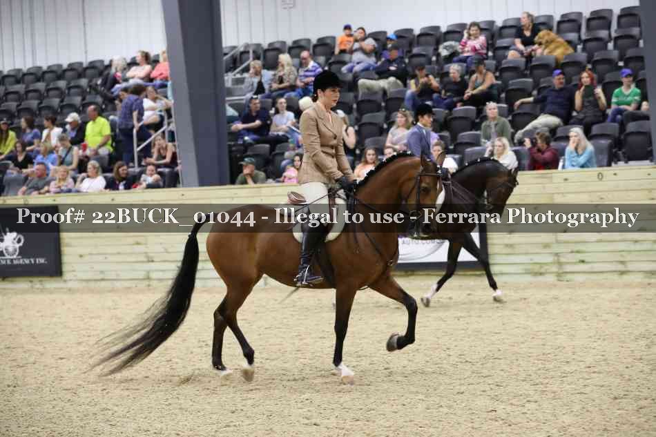Proof 22BUCK_01044
