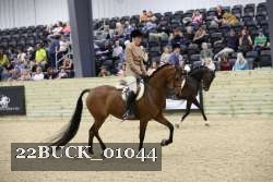22BUCK_01044 proof