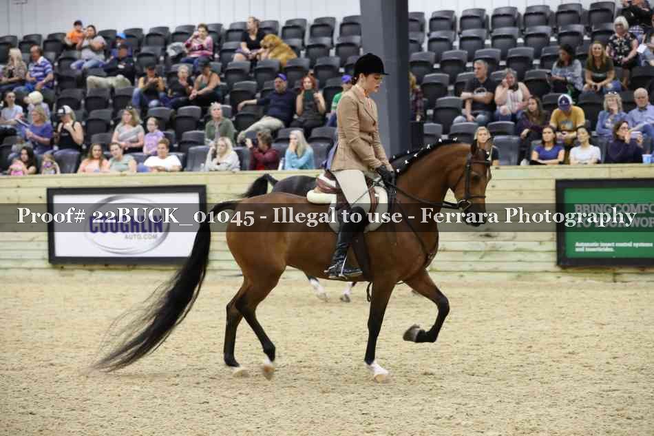 Proof 22BUCK_01045
