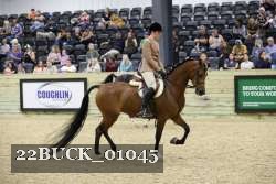 22BUCK_01045 proof