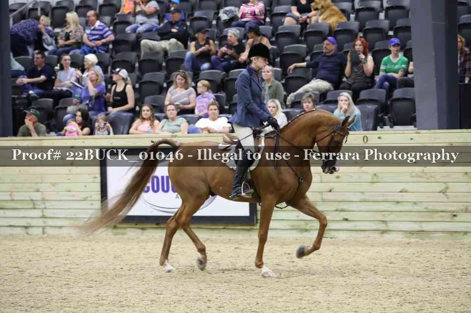 Proof 22BUCK_01046