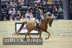 22BUCK_01046 proof