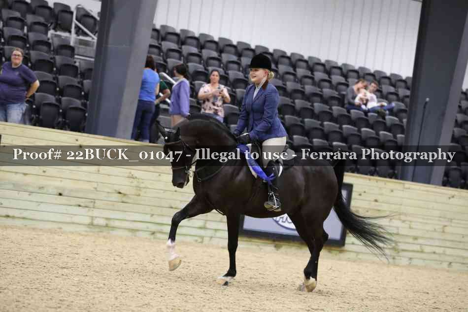 Proof 22BUCK_01047