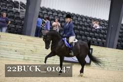22BUCK_01047 proof