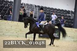 22BUCK_01048 proof