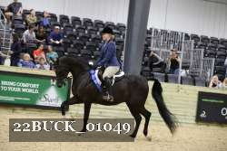 22BUCK_01049 proof