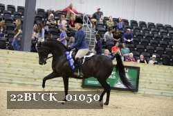 22BUCK_01050 proof