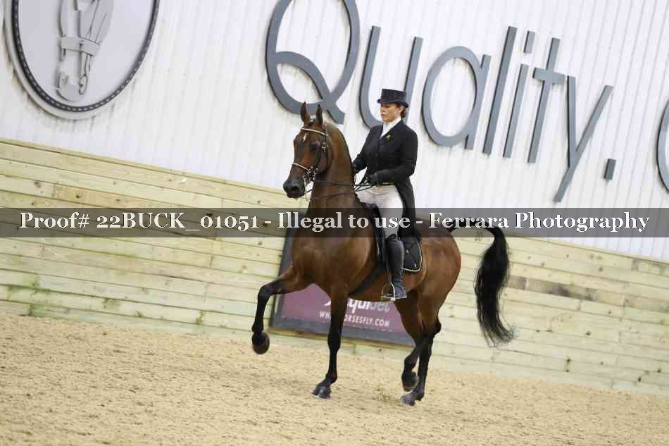 Proof 22BUCK_01051