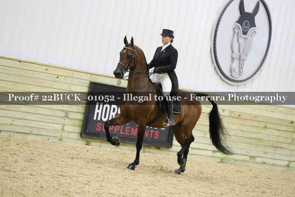 Proof 22BUCK_01052