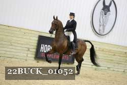 22BUCK_01052 proof