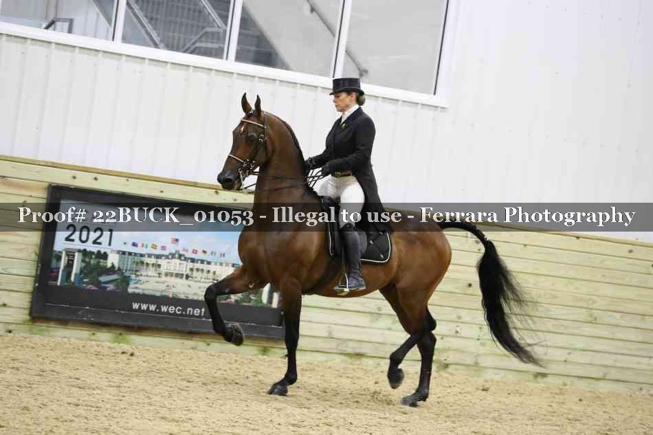 Proof 22BUCK_01053