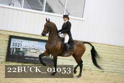 22BUCK_01053 proof