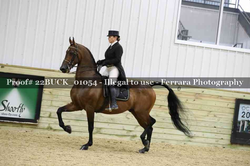 Proof 22BUCK_01054