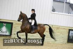 22BUCK_01054 proof