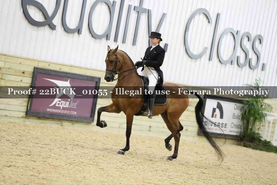 Proof 22BUCK_01055