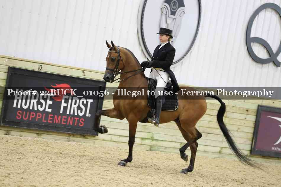 Proof 22BUCK_01056