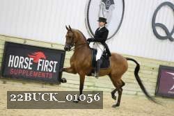 22BUCK_01056 proof