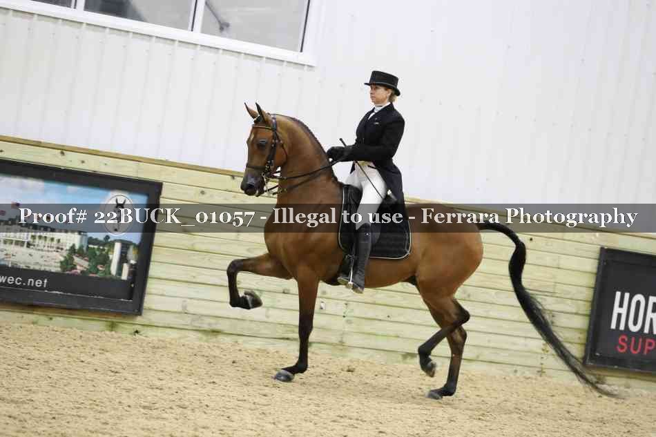 Proof 22BUCK_01057