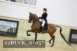 22BUCK_01057 proof