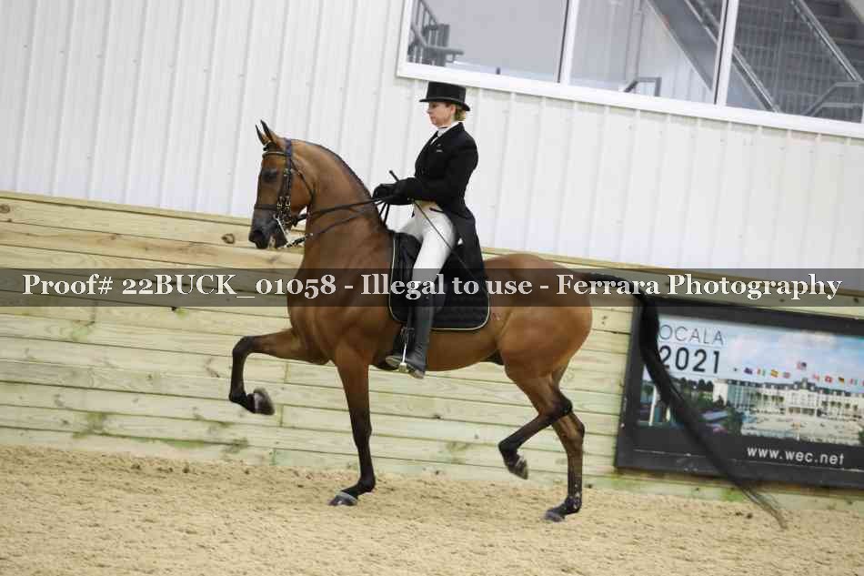 Proof 22BUCK_01058