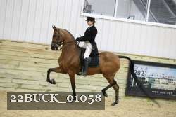 22BUCK_01058 proof