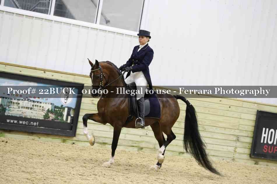 Proof 22BUCK_01060