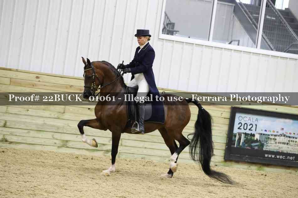 Proof 22BUCK_01061