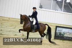22BUCK_01061 proof