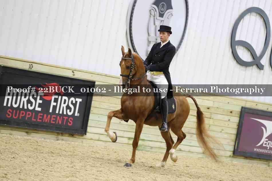 Proof 22BUCK_01062