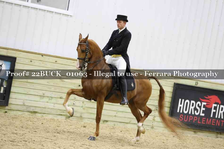 Proof 22BUCK_01063