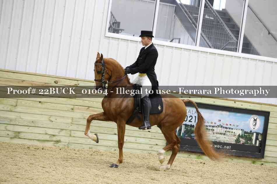 Proof 22BUCK_01064
