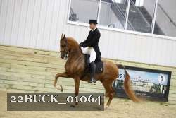 22BUCK_01064 proof