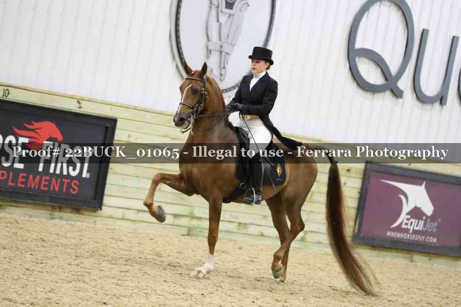 Proof 22BUCK_01065