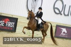 22BUCK_01065 proof