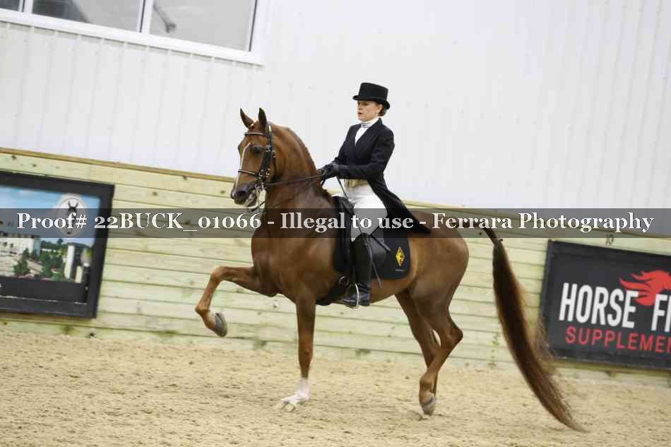 Proof 22BUCK_01066