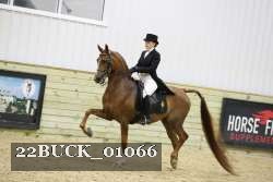 22BUCK_01066 proof