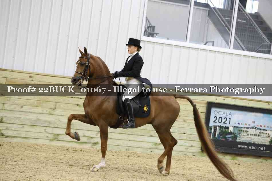 Proof 22BUCK_01067