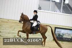 22BUCK_01067 proof