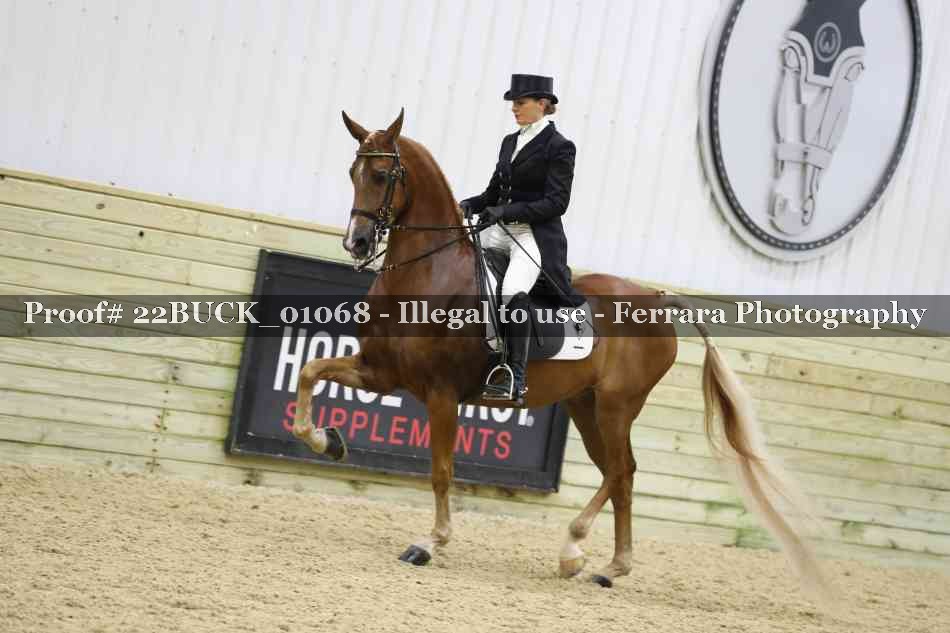 Proof 22BUCK_01068