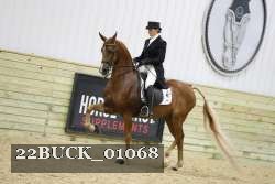 22BUCK_01068 proof
