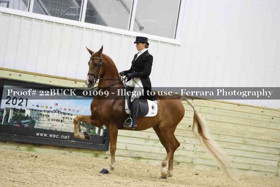 Proof 22BUCK_01069