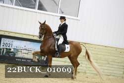22BUCK_01069 proof
